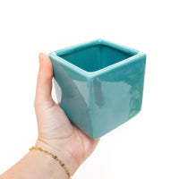 Sky Blue Ceramic Cube Container with Assorted Large Tillandsia Air Plant