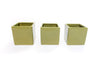 Avocado Green Ceramic Cube Container with Custom Tillandsia Air Plant