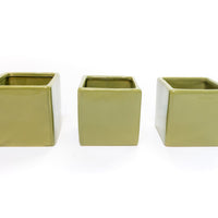 Avocado Green Ceramic Cube Container with Custom Tillandsia Air Plant