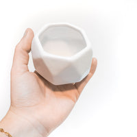 White Geometric Ceramic Container with Custom Premium Tillandsia Air Plant