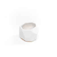 White Geometric Ceramic Container with Custom Premium Tillandsia Air Plant