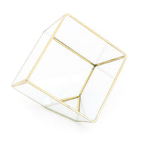Heptahedron Geometric Glass Terrarium with Tillandsia Red Abdita and Ionantha Air Plants