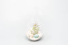 Set of 3 Teardrop Beach Terrariums with White Sand And Air Plant