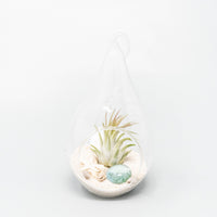 Set of 3 Teardrop Beach Terrariums with White Sand And Air Plant