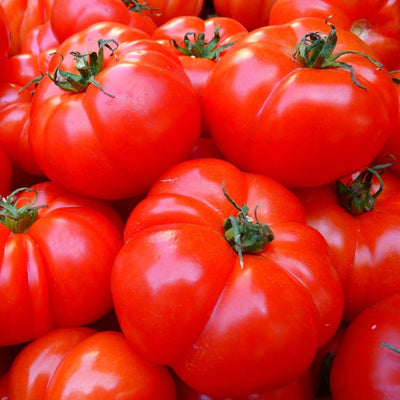 Red Brandywine Tomato Seeds, Heirloom Garden Vegetables