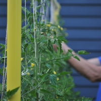 Hemp garden twine - medium roll