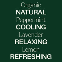 Top 3 Organic Singles Essential Oil Set By Plant Therapy