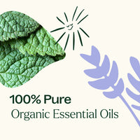 Top 3 Organic Singles Essential Oil Set By Plant Therapy
