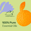Tranquil ®️ Essential Oil Blend By Plant Therapy
