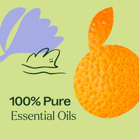 Tranquil ®️ Essential Oil Blend By Plant Therapy