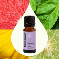 Tranquil ®️ Essential Oil Blend By Plant Therapy