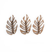 Monstrella - Wall Mounted Trellis Plant Support