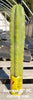 Trichocereus Pachanoi Common San Pedro PC Ornamental Grafting Cactus Cuttings and Potted