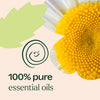 Tummy All Better KidSafe Essential Oil By Plant Therapy