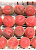 Prunus persica, Peach Fruit Tree 'UF One' - Live Plant