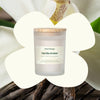 Vanilla Amber Naturally Scented Candle By Plant Therapy