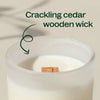 Vanilla Amber Naturally Scented Candle By Plant Therapy