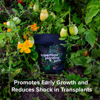 Plant Superfood Pods, Soil Nutrients By Love Plants