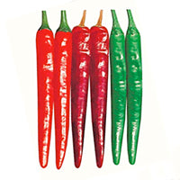 Wa Mae Wo Hot Korean Pepper Seeds, Crunchy Garden Vegetables