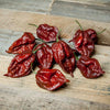 Kraken Scorpion Pepper Seeds, Wicked Hot Garden Vegetables
