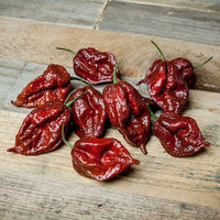 Kraken Scorpion Pepper Seeds, Wicked Hot Garden Vegetables
