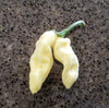 White Devils Tongue Pepper Seeds, Garden Vegetable Rarity
