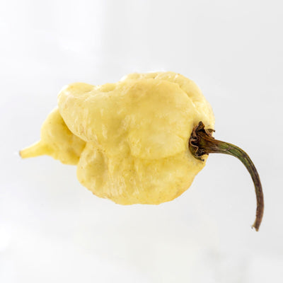 White Moruga Scorpion Pepper Seeds, Super Hot Fruity Chili Garden Vegetables