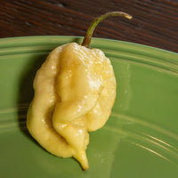 White Moruga Scorpion Pepper Seeds, Super Hot Fruity Chili Garden Vegetables