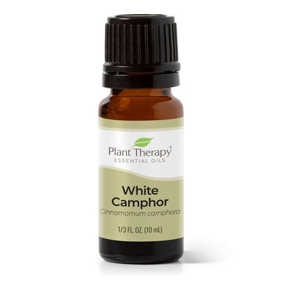 White Camphor Essential Oil By Plant Therapy