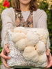 Premium Lion's Mane Mushroom Fruiting Block Grow Kit - 5 LBS
