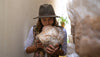 3 Pack - Premium Lion's Mane, Pink, and Blue Oyster Mushroom Fruiting Block Grow Kits - 15 LBS