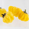 Yellow Brazilian Starfish Pepper Seeds, Fruity Chilis, Garden Vegetables