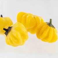 Yellow Brazilian Starfish Pepper Seeds, Fruity Chilis, Garden Vegetables