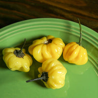 Yellow Brazilian Starfish Pepper Seeds, Fruity Chilis, Garden Vegetables