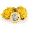 Yellow Pitaya, Dragon Fruit Live Vining Cactus Plant