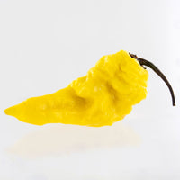 Yellow Fever Pepper Seeds, Super Hot Garden Vegetables