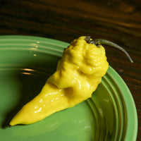 Yellow Fever Pepper Seeds, Super Hot Garden Vegetables