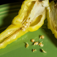 Yellow Fever Pepper Seeds, Super Hot Garden Vegetables
