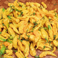 Yellow Ghost (Bhut Jolokia) Pepper Seeds, 1 Of The Hottest Garden Vegetables