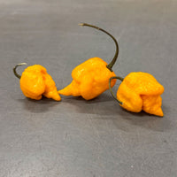 Yellow Reaper Pepper Seeds, Intense Heat Garden Vegetables