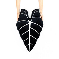 Alocasia Micholitziana Frydek, Plant Leaf Pillow