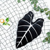 Alocasia Micholitziana Frydek, Plant Leaf Pillow