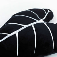 Alocasia Micholitziana Frydek, Plant Leaf Pillow