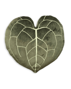 Anthurium Clarinervium 17" Plant Leaf Pillow- Khaki