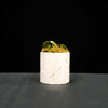 Art Deco Tower Planter In Many Colors & Sizes