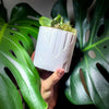 Art Deco Tower Planter In Many Colors & Sizes