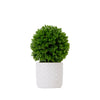 10" Artificial Boxwood Topiary Plant with Decorative Planter