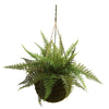 13" Leather Artificial Fern Hanging Basket w/ Moss - Set of 2 + (Indoor/Outdoor)