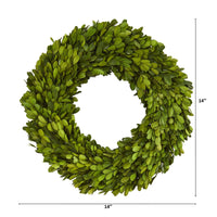 14” Preserved Boxwood Artificial Wreath