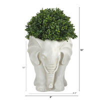 16” Boxwood Topiary Artificial Plant in Elephant Shaped Planter (Indoor/Outdoor)